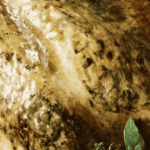 How Long to Cook a Turkey Crown